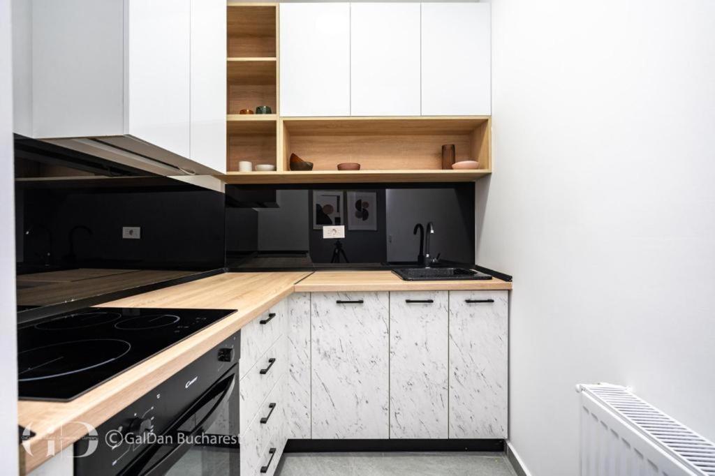 The Loft Luxury Apartments-Near The Park In The City Center Bucarest Extérieur photo